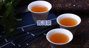 熟茶还是生茶好？探讨普洱茶的选择及口感差异