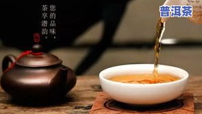 龙骨普洱茶：功效、适宜人群及冲泡方法全解析