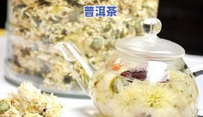 适合北方人喝的茶叶-适合北方人喝的茶叶有哪些