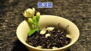 适合北方人喝的茶叶-适合北方人喝的茶叶有哪些