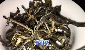 新六大茶山普洱茶特色-新六大茶山普洱茶特色是什么