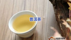 新六大茶山普洱茶特色-新六大茶山普洱茶特色是什么