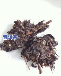 像枯树枝的茶是什么茶？揭开神秘面纱