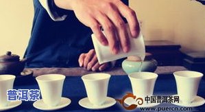 用茶壶泡普洱茶的冲泡方法与技巧详解