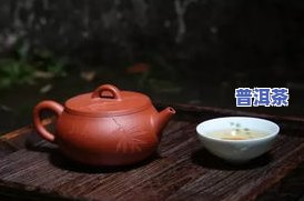 用茶壶泡普洱茶的冲泡方法与技巧详解