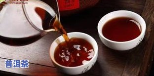 信记普洱茶简介：1856年历史传承，优质茶叶，口感醇厚。了解更多请查看图片。