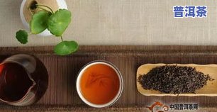 用什么存普洱茶饼更好看-用什么存普洱茶饼更好看呢