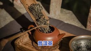 北京普洱茶老板娘视频：全方位解析茶叶品质与制作工艺