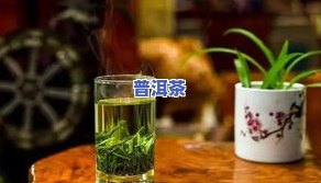 青甘普洱茶的冲泡方法：如何泡出好喝的青柑普洱茶？