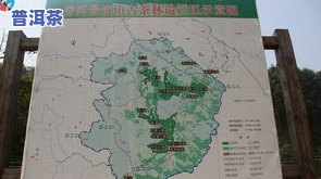 茗山茶庄的茶叶怎么样？地理位置、口感怎样评价？