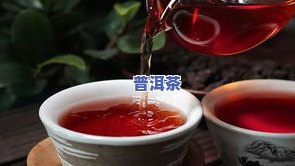 完整碎银子普洱茶泡法视频教程，教你如何冲泡