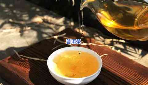 大树普洱茶价格表：多少钱一斤？了解功效与分类！