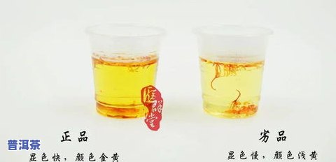 膝盖疼可以喝绿茶吗？探讨其对女性的影响