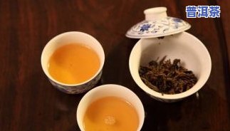 网上普洱茶真假视频及价格解析