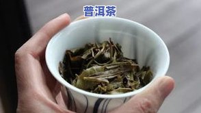 大寨普洱茶：特点、排名与价格全解析，探究生茶的魅力