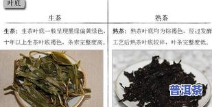 大寨普洱茶：特点、排名与价格全解析，探究生茶的魅力