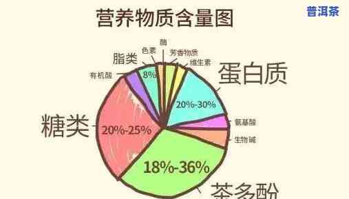 煮茶水放多少：水量、茶叶量的比例与合适份量的探讨