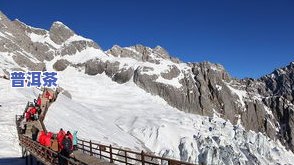 四大雪山普洱茶产地在哪里-四大雪山普洱茶产地在哪里啊