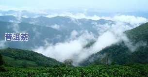 普洱茶的大雪山在哪里？探索普洱茶三大雪山产区及其特点