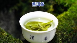 什么水配普洱茶-什么水配普洱茶更好