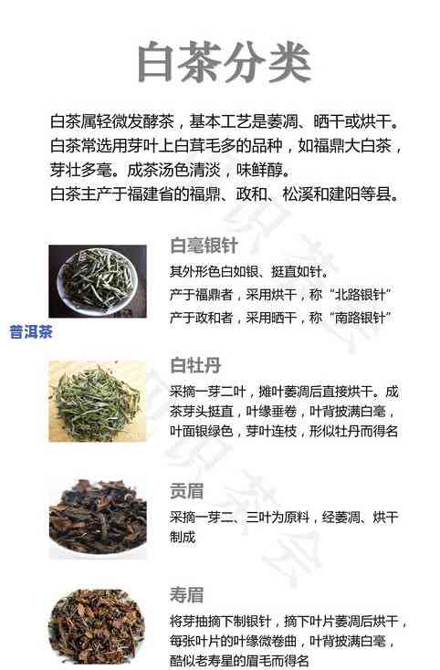 新普洱茶的特点：主要特性的详细介绍