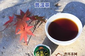 渐会小青柑普洱茶新会-小青柑新会普洱茶价格