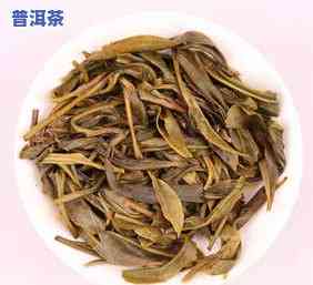 昔归普洱茶生茶-昔归普洱茶生茶价格