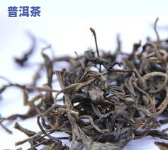 云南临沧冰岛普洱茶价格：生茶多少钱一斤？是不是值几万一斤？