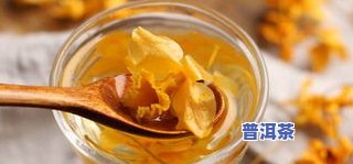 天麻茶的作用：功效、副作用全解析