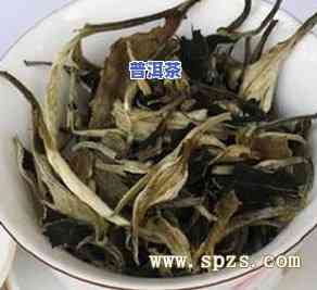 白普洱茶价格查询：多少钱一斤？了解白普洱茶价格与品种信息