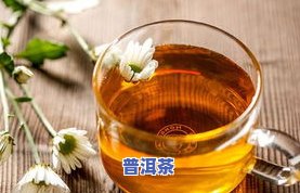 普洱茶浸泡5分钟饮用：效果、更佳时间及浸泡方法，过期还能喝吗？