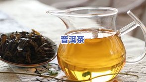 普洱茶：生茶与熟茶有何不同？哪个更好？