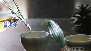 天脉普洱茶：精选古树纯料熟茶，品质保证，价格公道