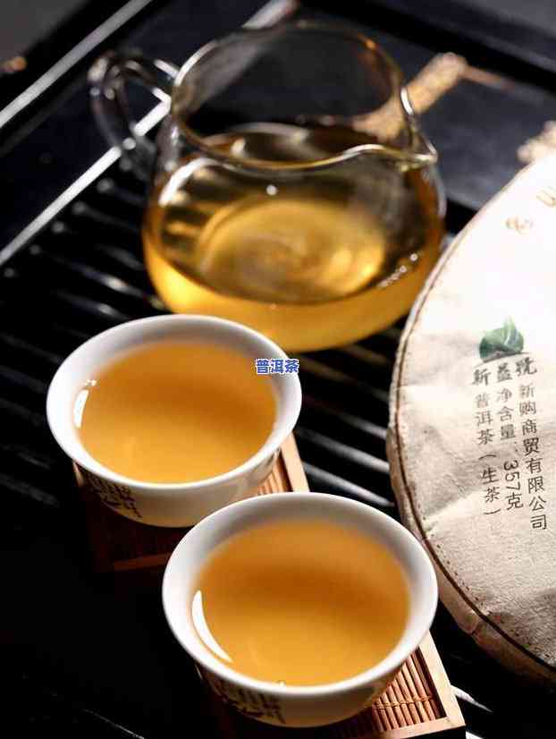 丽江普洱茶哪个牌子好？全面解析各类口感与优缺点