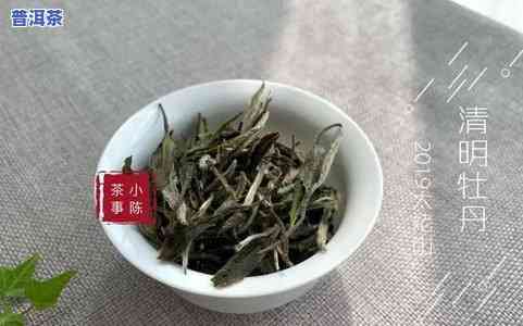 普洱茶的白茶：究竟属于什么类型的茶？