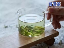 普洱茶的白茶：究竟属于什么类型的茶？