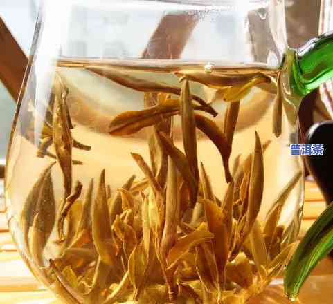 普洱茶的白茶：究竟属于什么类型的茶？