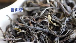 普洱茶白茶的功效与作用详解：揭开神秘面纱与饮用禁忌