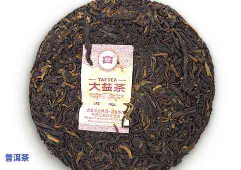 大益普洱茶收藏入门：最值得收藏的茶与价值分析