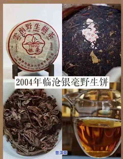 冰岛银毫普洱茶生茶沱茶-冰岛银毫生茶与冰岛茶区别