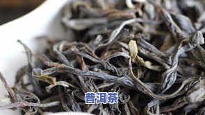 云南特别的普洱茶：品种、特点及制作过程全解析