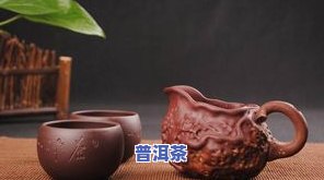 普洱茶如何正确冲泡？技巧与方法全解析！