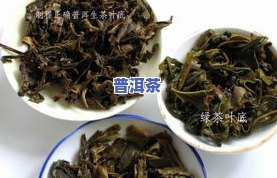 普洱茶疗效-普洱茶有什么疗效