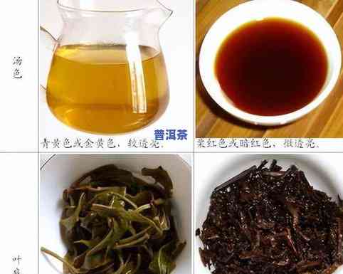 普洱茶邦丙：哪个茶区？特点与价格全解析