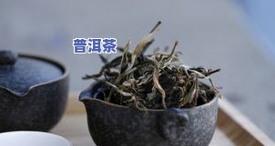 普洱茶晾晒图片大全：真实高清展示及注意事项