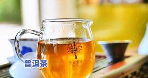 柏联普洱茶庄园官网：熟悉产品、价格及旗舰店信息