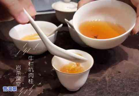 像小石头一样的茶叶是什么茶？探索其种类与名称