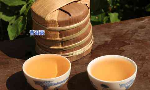 现在普洱茶哪里好买一点-现在普洱茶哪里好买一点的