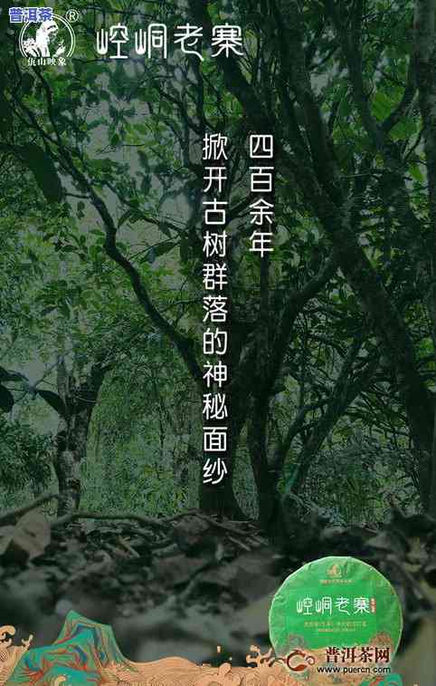 普洱茶之家：2023年古树头春价格表、存储方法与地图全攻略