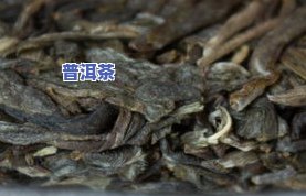 冰岛普洱茶：品种、图片及分类全解